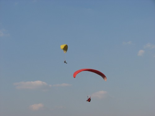 IMG_9209.JPG