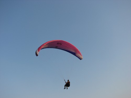 IMG_9221.JPG