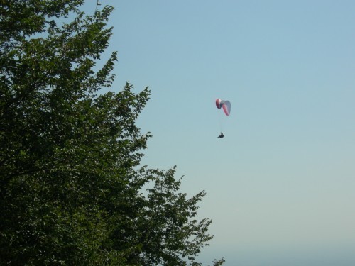 DSCN0939.JPG (375.21 КБ) Просмотров: 9607 DSCN0939.JPG