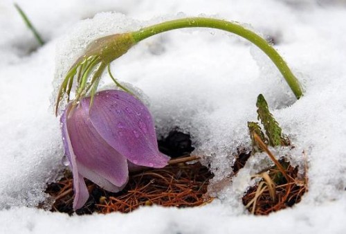 389825_373139.jpg (34.36 КБ) Просмотров: 2516 389825_373139.jpg