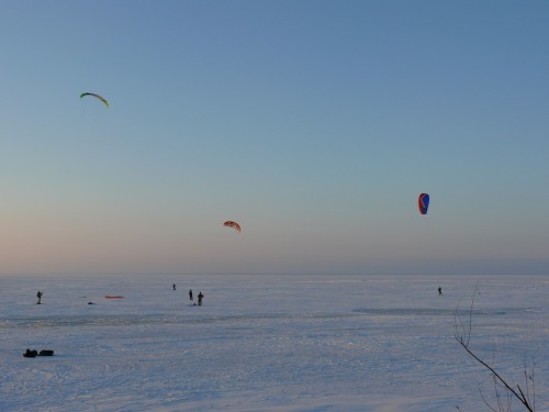 P1000892_1.jpg