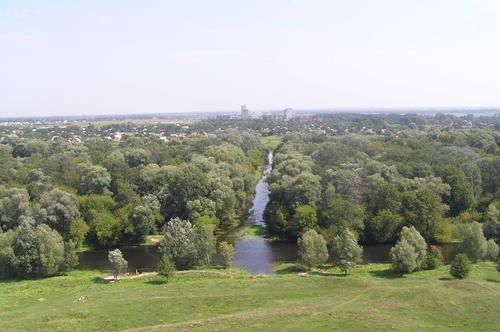 14674754.jpg