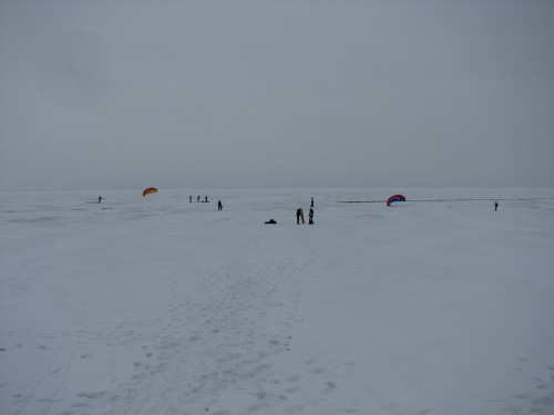 IMG_4981.JPG