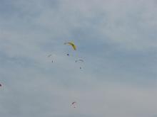 IMG_2080
