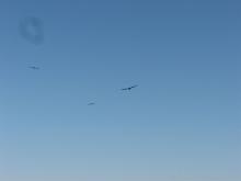 IMG_4641