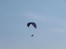 IMG_9569