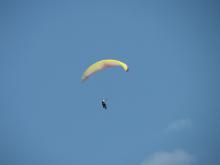 IMG_0654