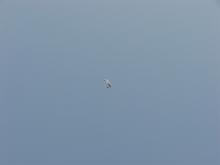 IMG_1544