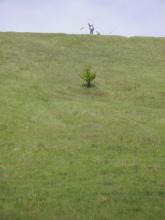 PICT0727